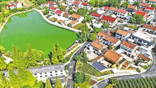 “好村光”里的振兴“密码”