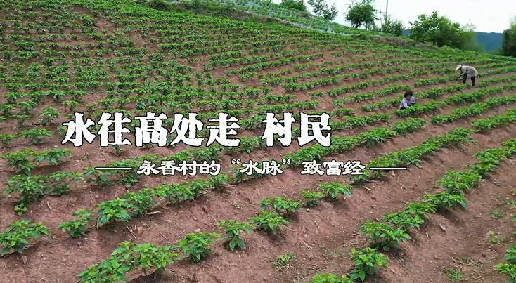 水往高处走 村民增收忙 - 第1张图片