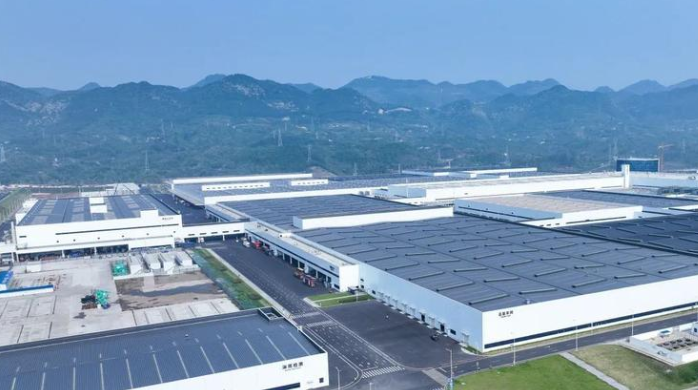 2025重庆民营企业百强榜单发布