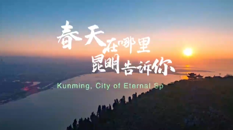 春天在哪里？昆明告诉你的封面图片