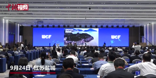 2025全球滨海论坛在江苏盐城开幕的封面图片