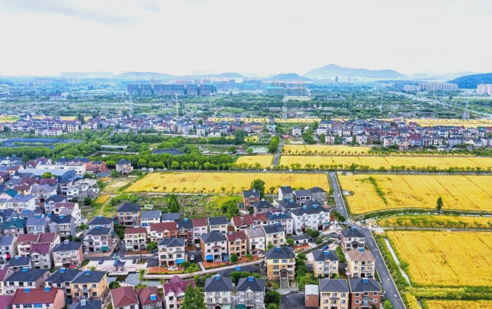 片区组团蹚出共富新路的配图