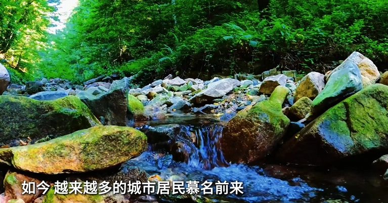 山村迎来旅居客的封面图片