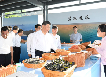 总书记引领推动乡村振兴迈出坚实步伐 - 第4张图片