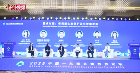 中国—东盟环境合作论坛启幕 各界共话绿色发展机遇的封面图片