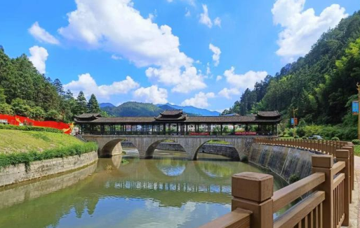 福建宁化：绿竹生“金”绘就富民图景