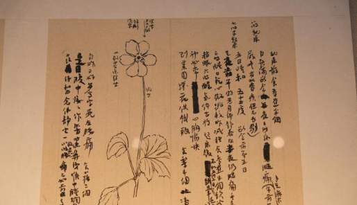 李叔同诞辰145周年杭州纪念活动展出真迹