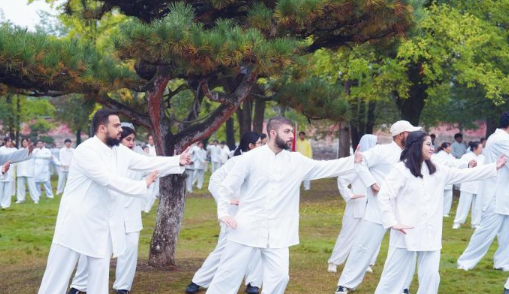 2025国际武当太极文化节在湖北武当山开幕 - 第3张图片