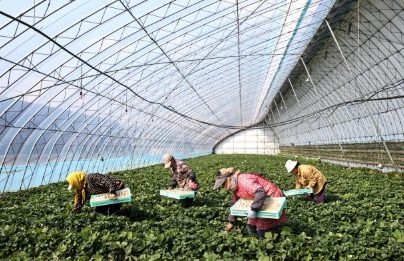 辽宁省政协聚智助推民族乡村全面振兴