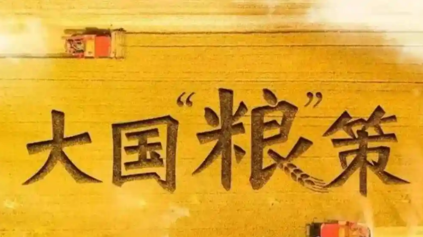 中国农业农村部:全年粮食有望再获丰收