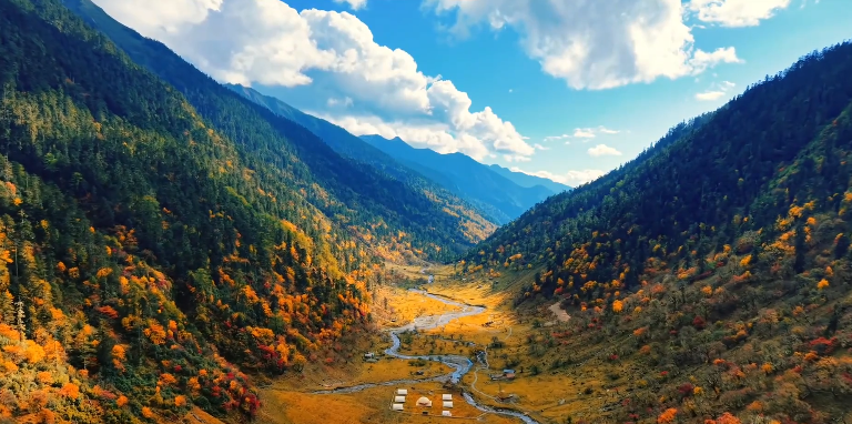 打翻调色盘！云南怒江塞瓦龙巴牧场山林尽披绚彩的封面图片