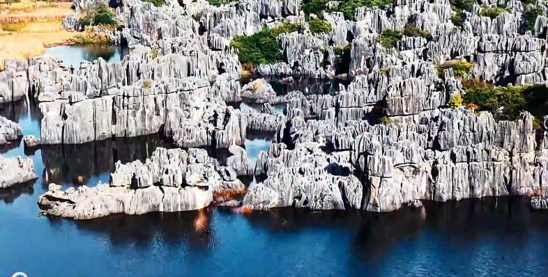 航拍云南石林仙女湖！碧水映奇峰如湖中石森林的封面图片