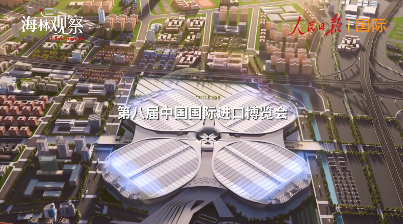 90秒带你看第八届进博的封面图片