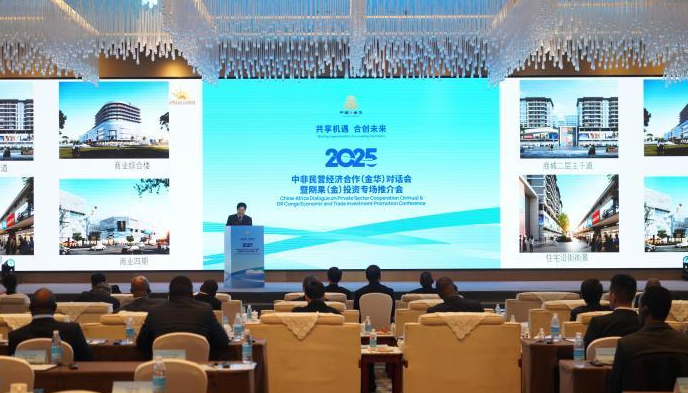 中非民营经济“对话”合作：“最好时代”如何珍之重之？的配图