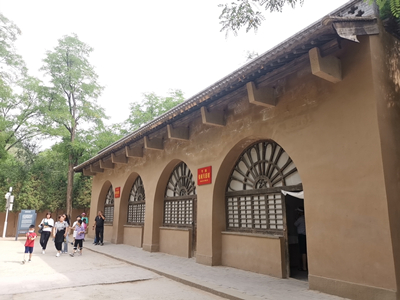 红色热土上的青春答卷｜党婕睿：独行快众行远，共传延安红色力量的封面图片