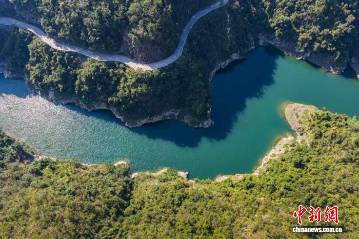 广东揭西苦笋产业提档升级 赋能乡村振兴