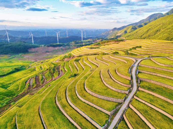 治理335万亩 我国超额完成“十四五”历史遗留矿山生态修复任务的配图